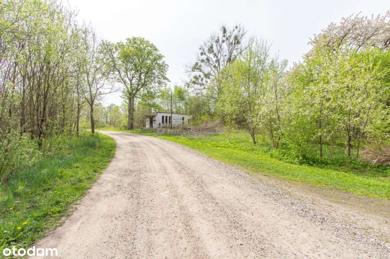 Godzisław, działka budowlana z budynkiem - Pełny obrazek: 5/6