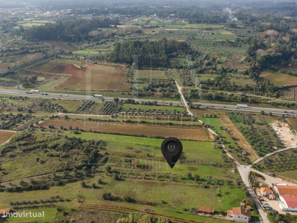Terreno | Ventosa do Bairro, Mealhada-19