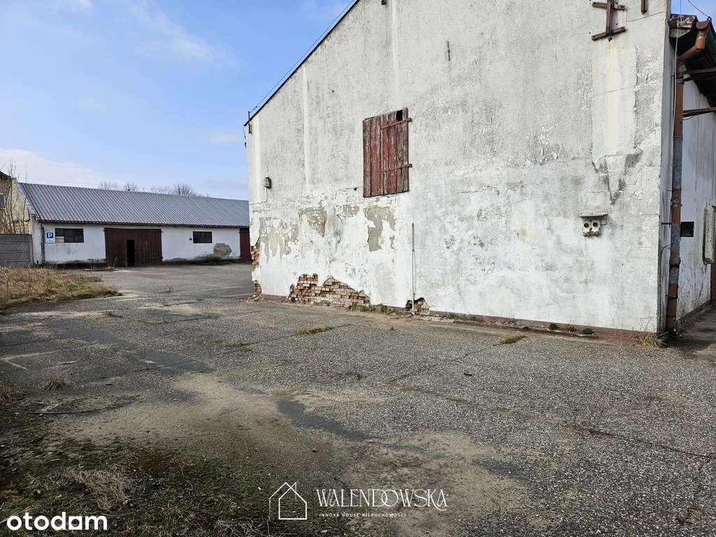 Na sprzedaż nieruchomość inwestycyjna – Staniewice-10