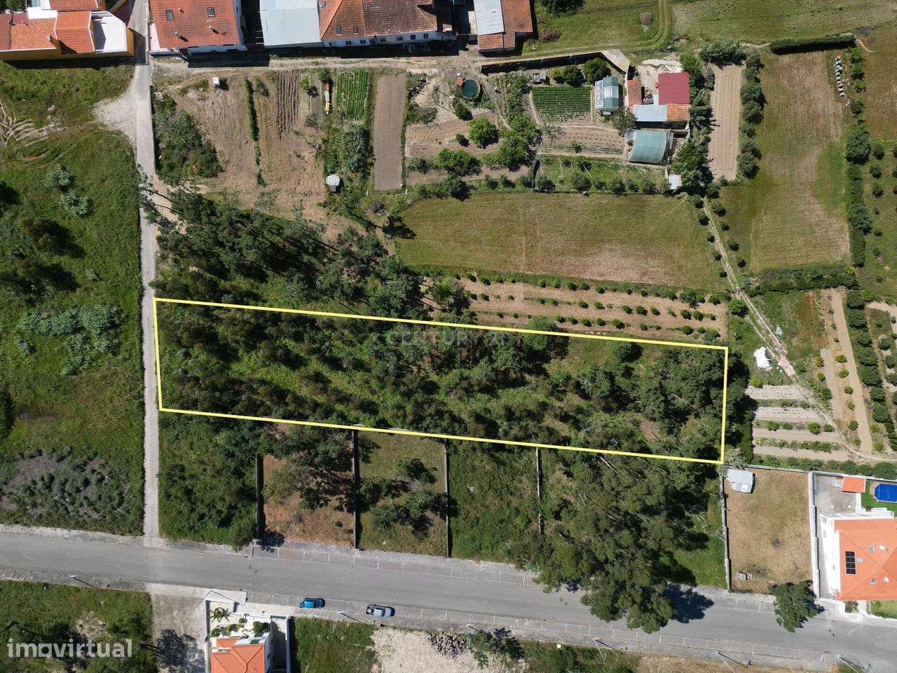 Terreno de cultura e vinha com 2.500 m2, em Lavos, Figueira da Foz.