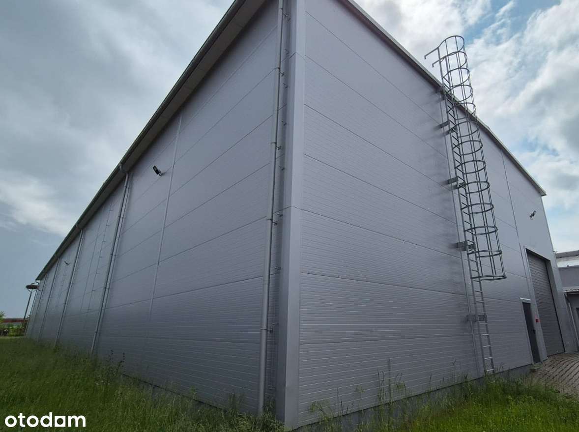 Powierzchnia magazynowo-produkcyjna oraz biurowa do wynajęcia - Pełny obrazek: 4/7