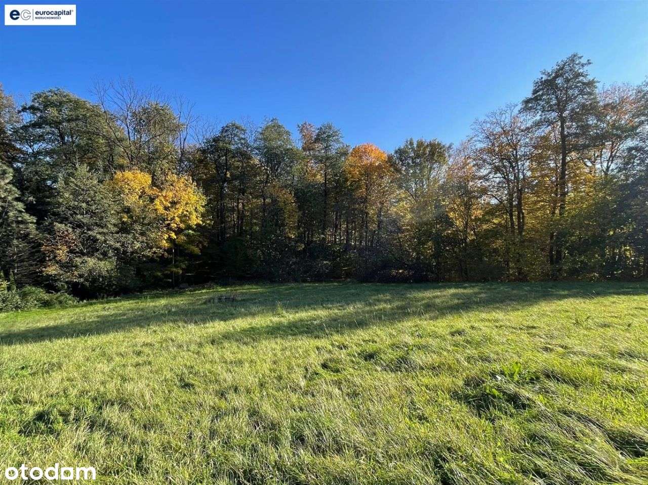 Duża działka w sasiedztwie zagajnika i strumyka!-11