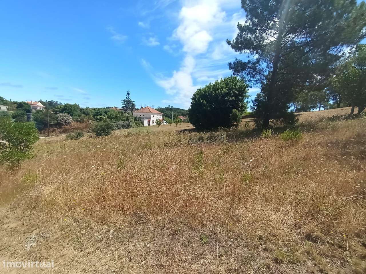Terreno à venda em Serra e Junceira, Tomar - Grande imagem: 4/5