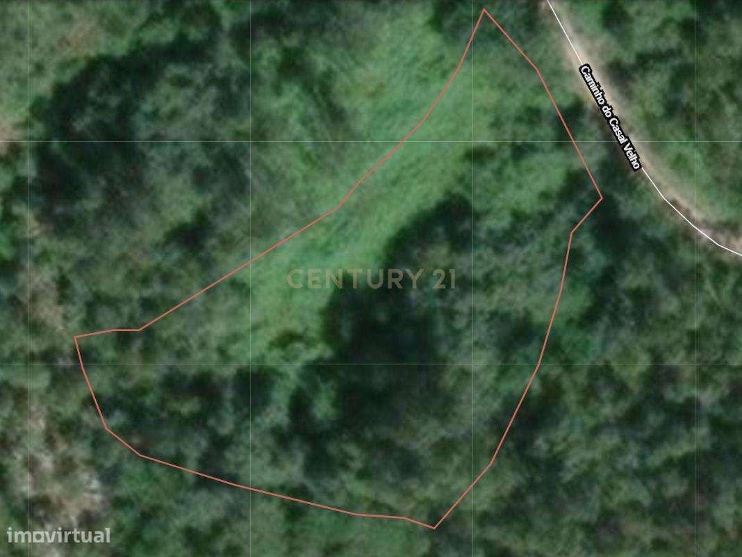 Terreno Espetacular em Alvados, Porto de Mós - 30.730m² - Grande imagem: 2/3