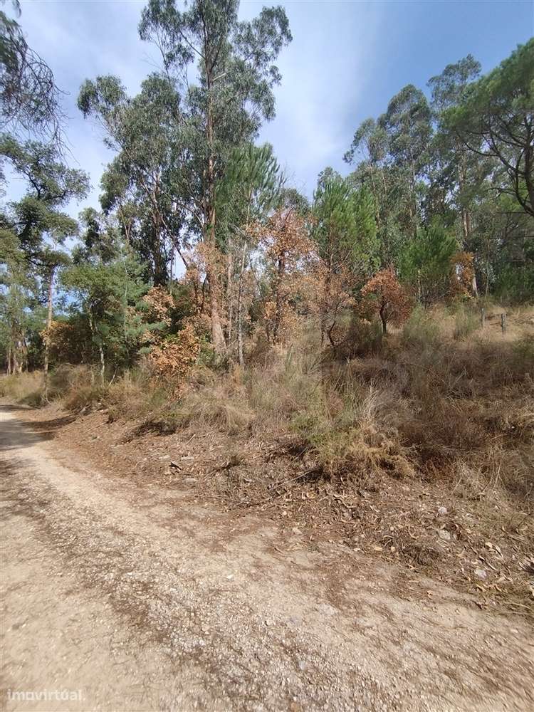 Terreno  Venda em Crespos e Pousada,Braga - Grande imagem: 3/7
