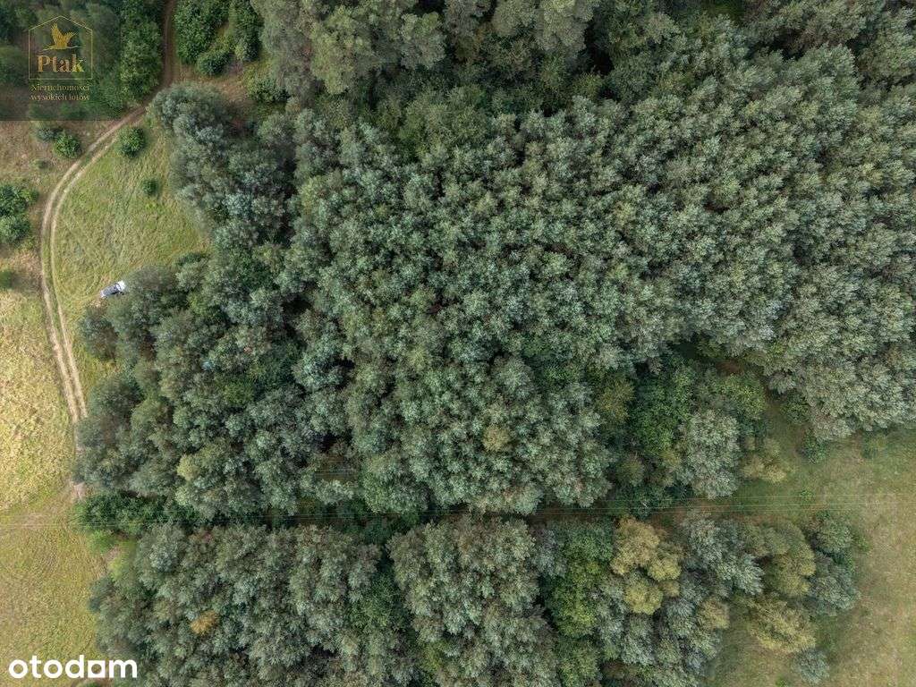 ★ Inwestycja ★ Nowość ★ - Pełny obrazek: 4/10