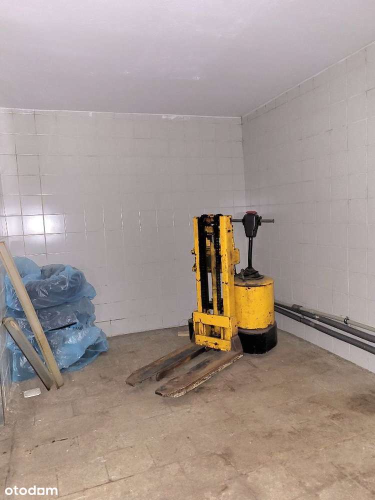 Magazyny / warsztat/ biuro również spożywczy - Pełny obrazek: 2/3