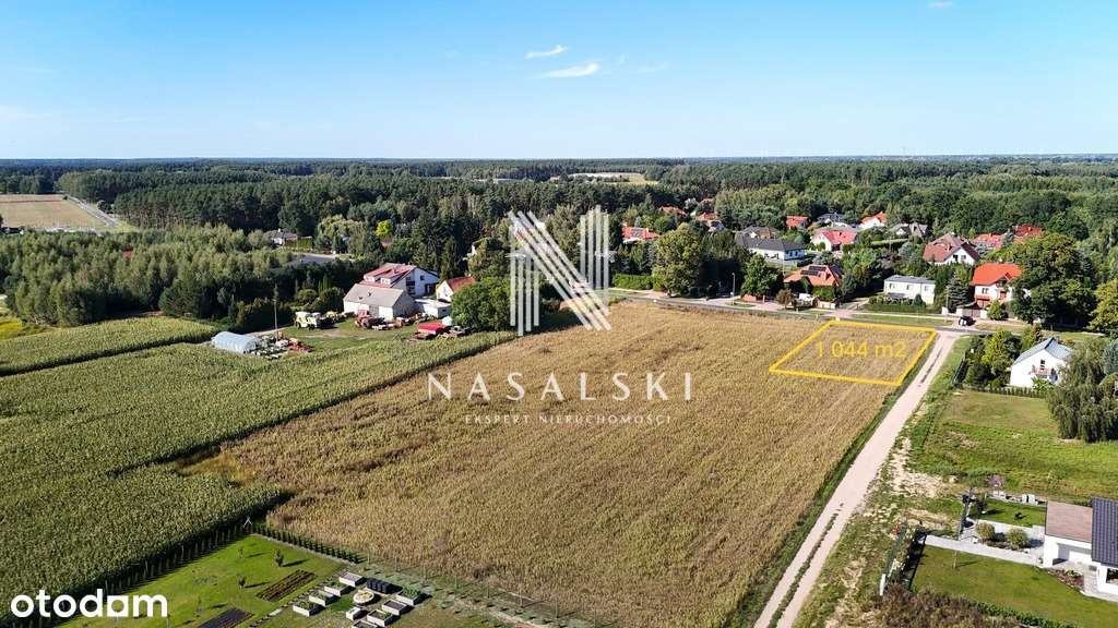 Koszalińska / Mpzp / Wilcze 39/46-4