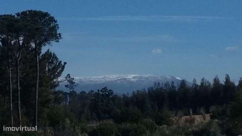 Terreno 10491m2 Agrícola Com árvores de fruto  e Poço e charca - Grande imagem: 5/6