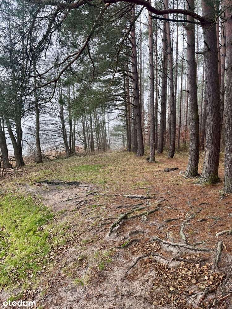 Dom na Kaszubach, 197m2, koło Stężycy, piwnica-19