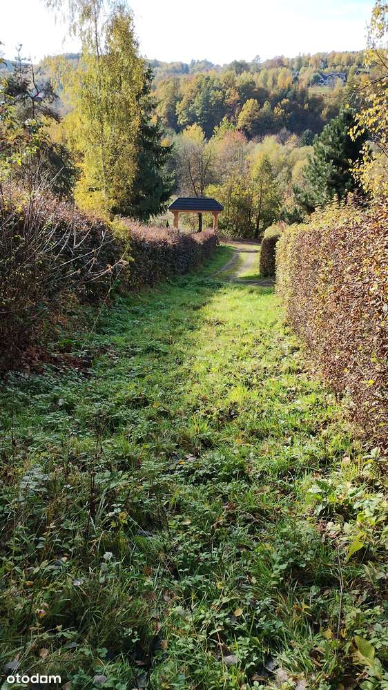 Działka budowlano-rolna w Czasławiu 27 ar - Pełny obrazek: 4/7