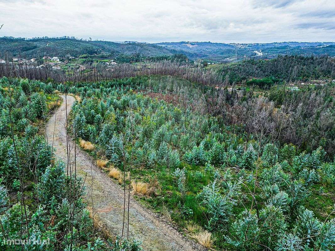 Terreno  para venda - Grande imagem: 4/11