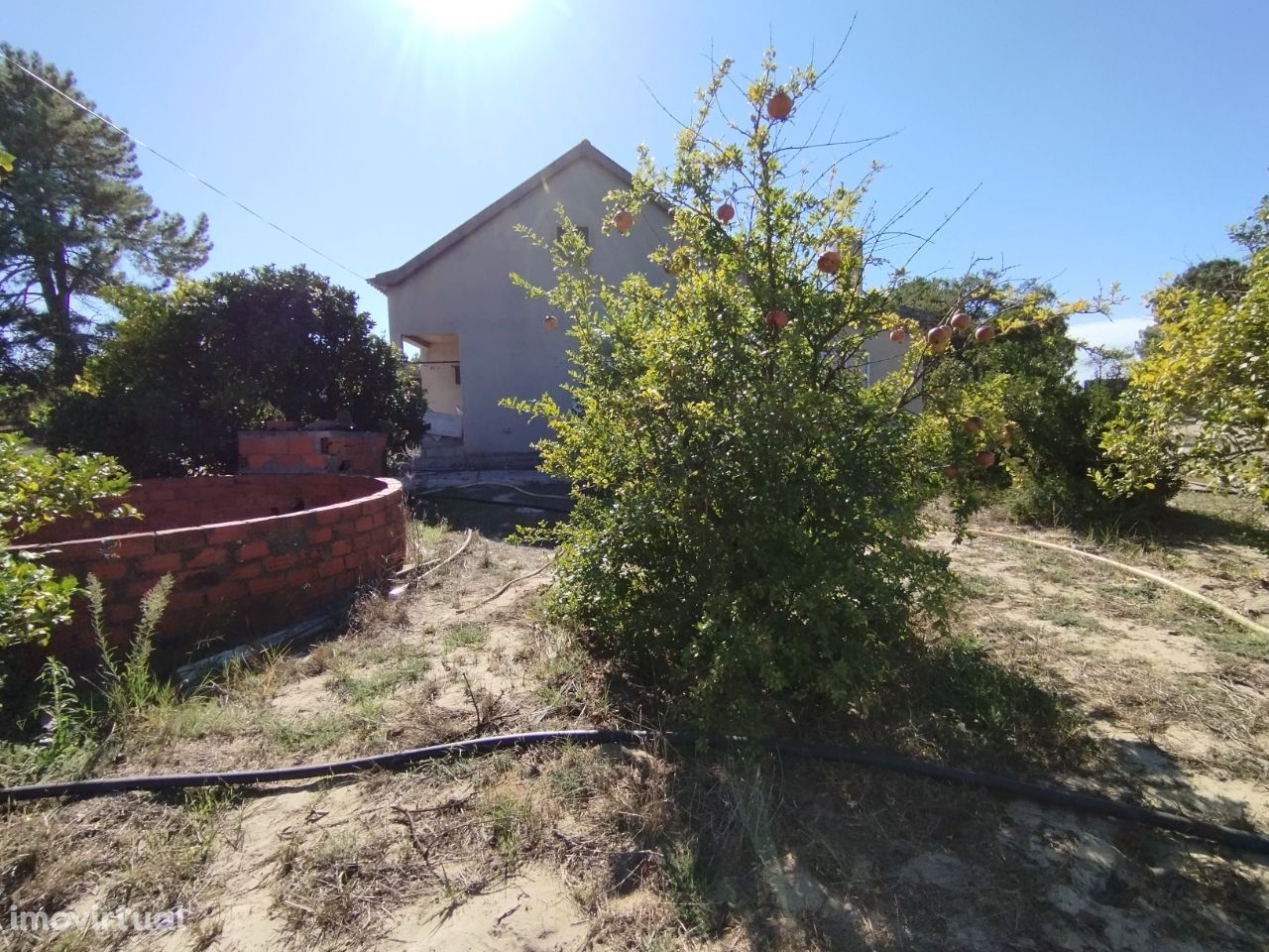 QUINTINHA EM AZEITÃO-árvores de fruto,2 poços, casa de habitação rural