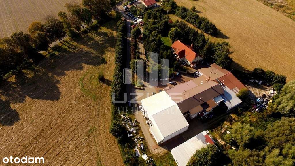 Obiekt magazynowy na wynajem - Pełny obrazek: 4/5