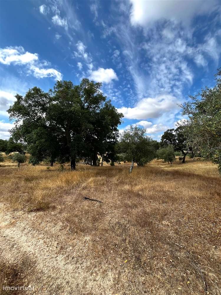 Quinta >=T10 Venda em Cortiçadas de Lavre e Lavre,Montemor-o-Novo-55