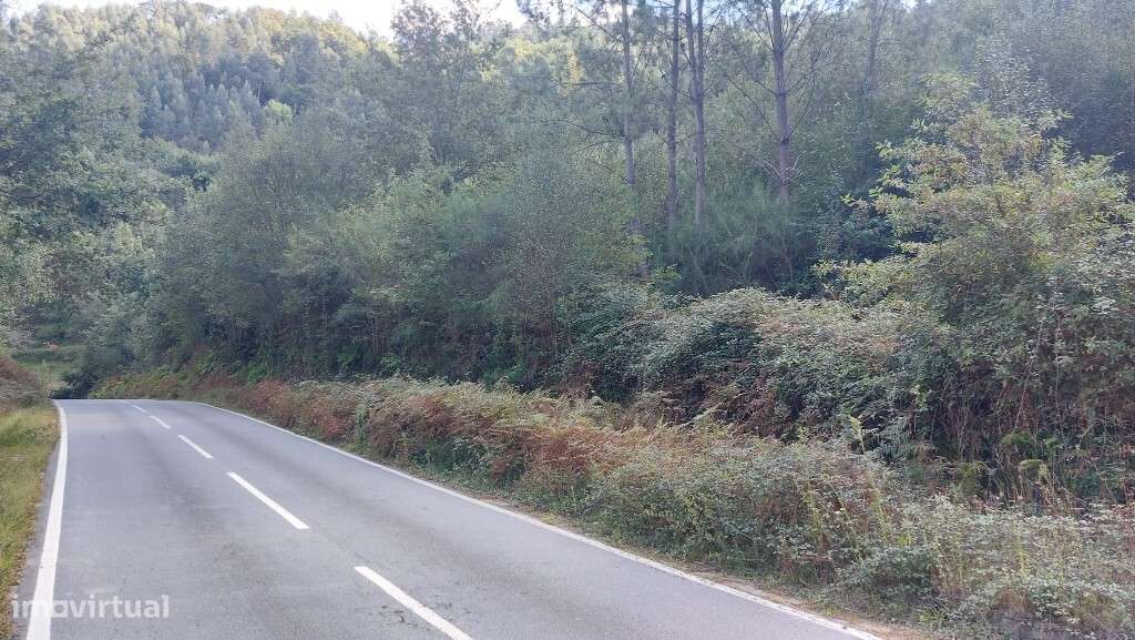 Terreno Agricola - Chamoim - Grande imagem: 4/5