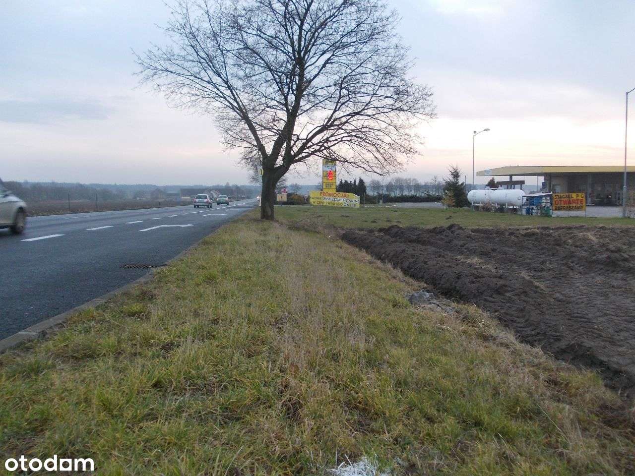 DZIAŁKA Komercyjna 9000m2 W TOSZKU, PRZY DK 94 - Pełny obrazek: 5/8