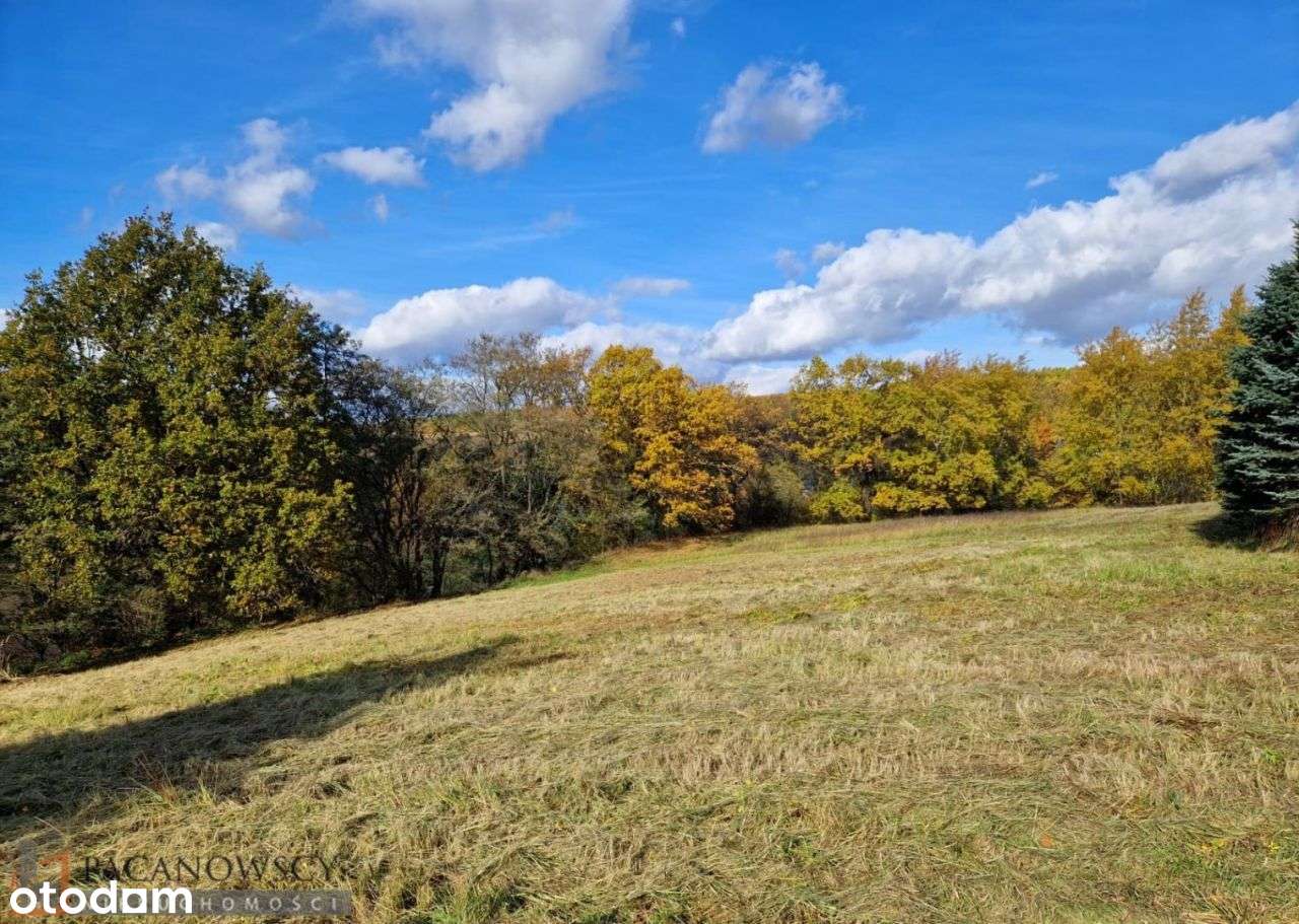 Działka, 2 491 m², Maszków - Pełny obrazek: 5/7