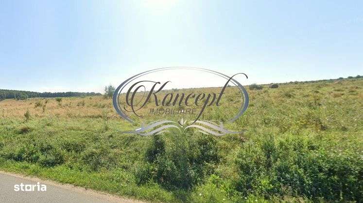 Teren intravilan in Salicea - Imagine principală: 2/4