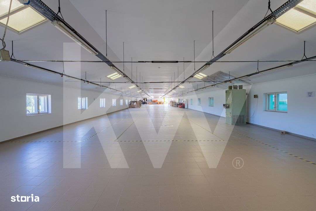 Ansamblu industrial cu hale functionale si teren – Rahau-Sebes - Imagine principală: 2/19