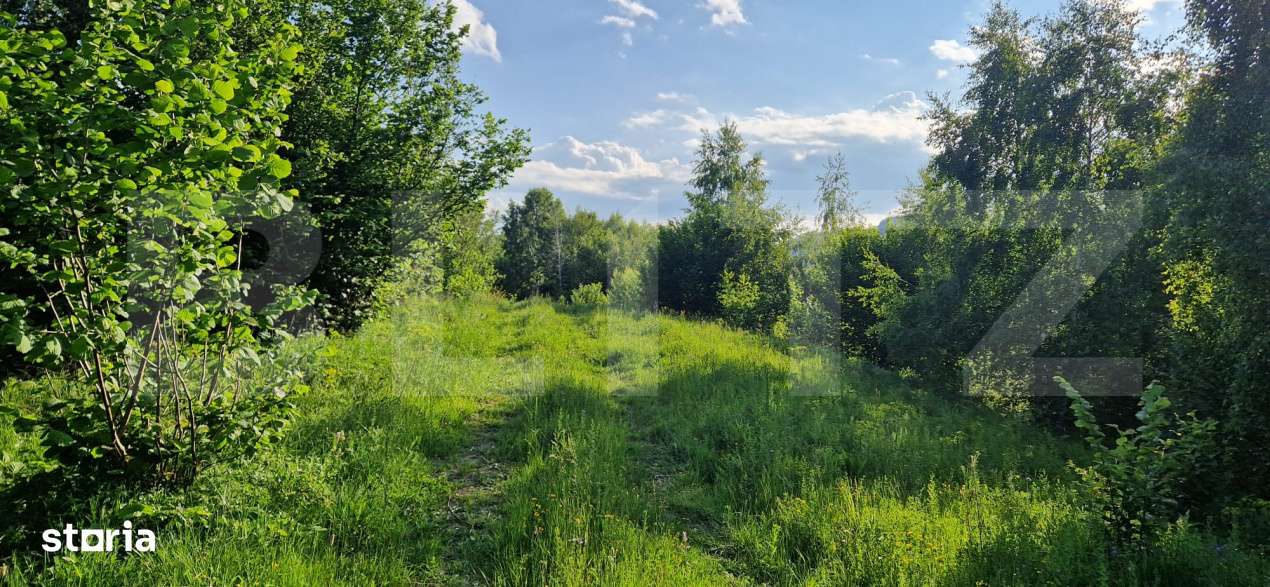 11,5 ha teren extravilan pe Trans Apuseana – cu izvor si curent elec - Imagine principală: 2/2
