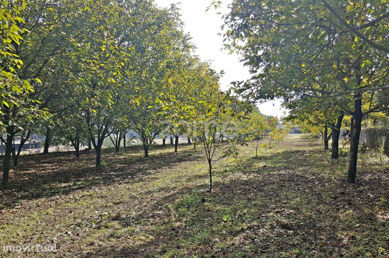 Terreno para construção Guimarei Santo Tirso