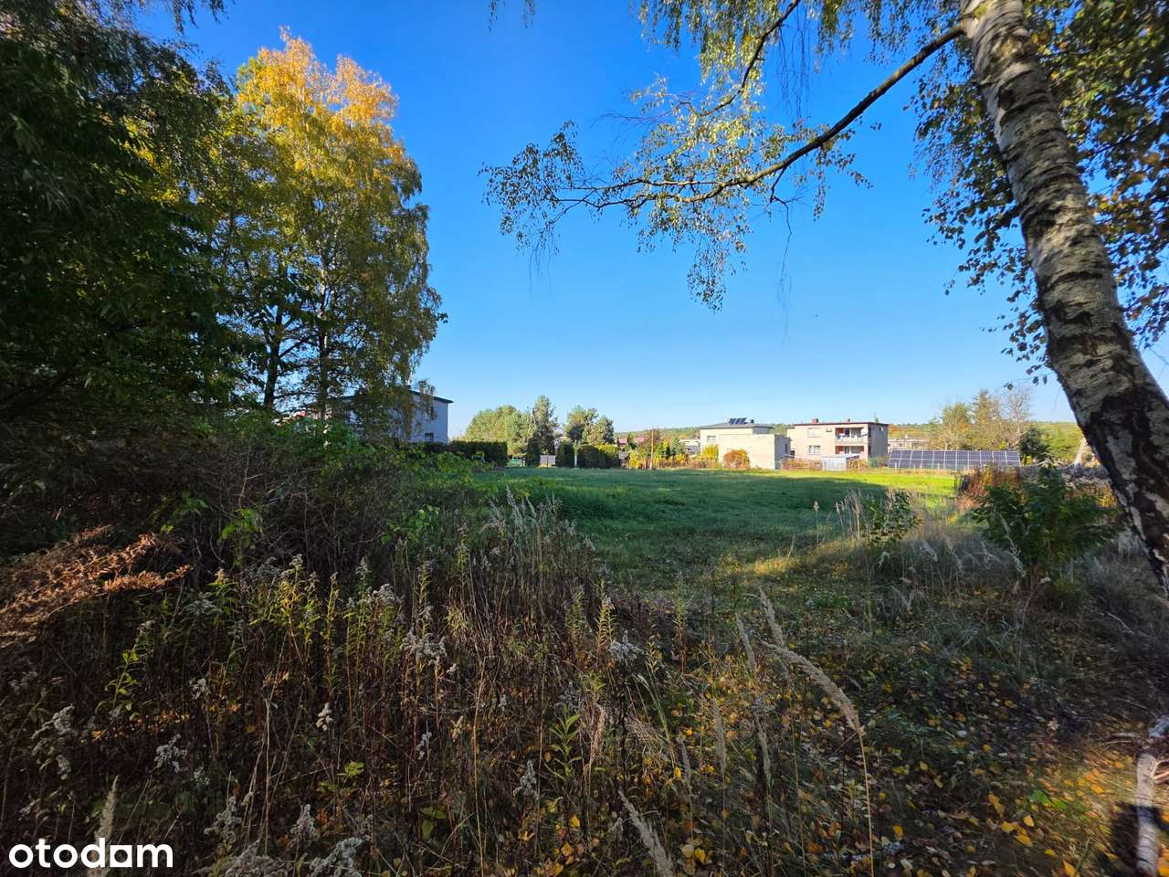 Imponująca powierzchnia w dobrej lokalizacji-5