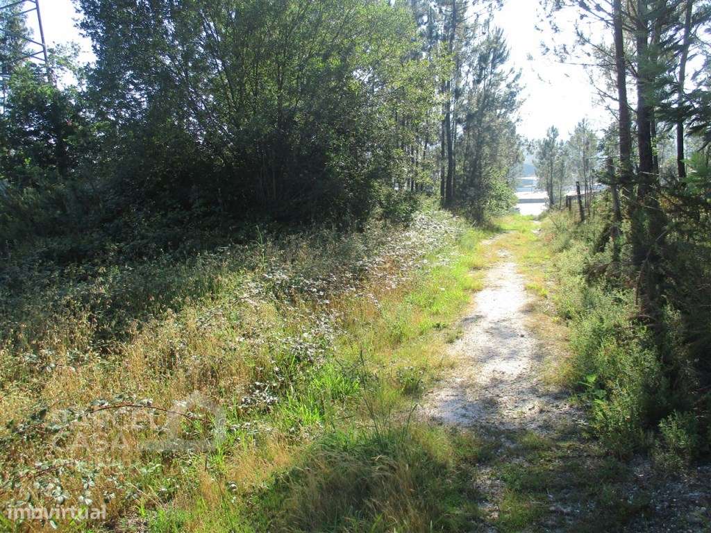 Terreno industrial na Ucha - Barcelos - Grande imagem: 4/7