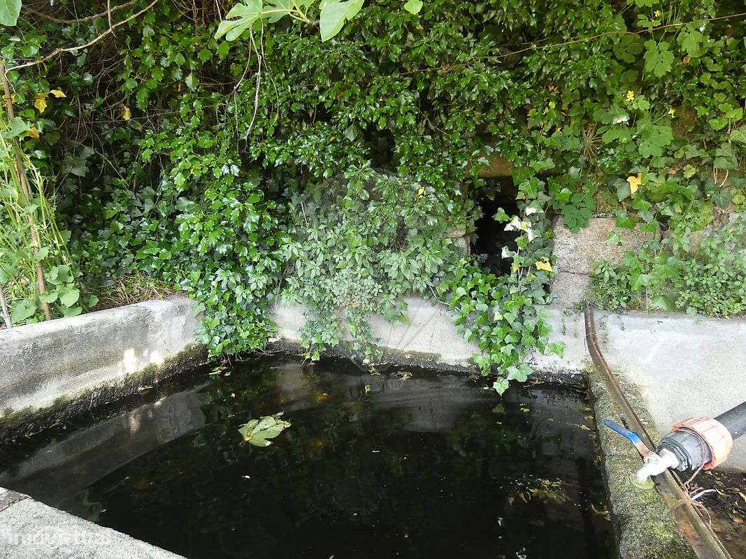 Quinta  para venda - Grande imagem: 4/50