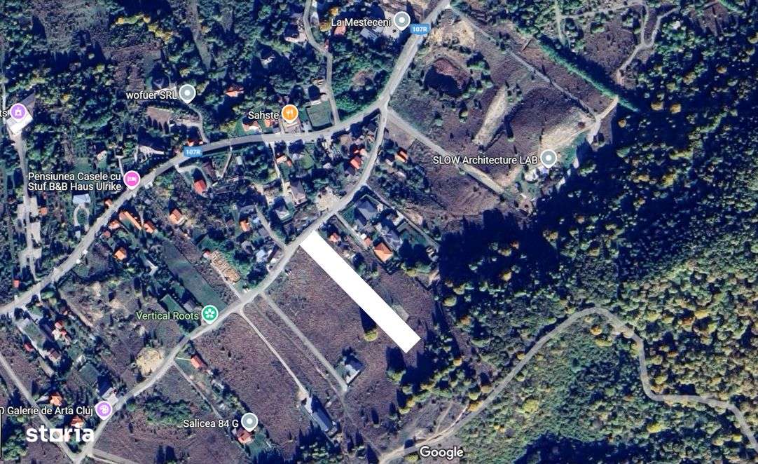 PF Vand Teren Intravilan Salicea - 118Euro/mp - Imagine principală: 5/5