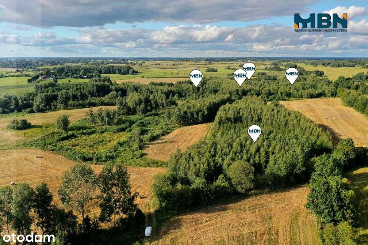 Działka, 109 607 m², Miłki - Pełny obrazek: 5/19