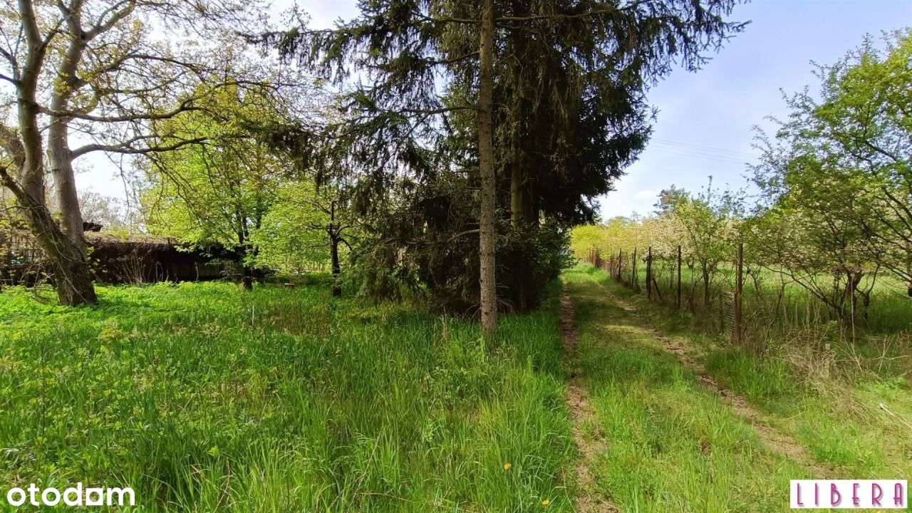 Tylko u nas! Działka w Łochowie - Pełny obrazek: 5/8