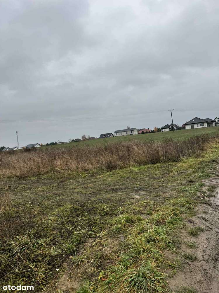 Działka  15ar w Chróstniku - okazja. - Pełny obrazek: 2/8