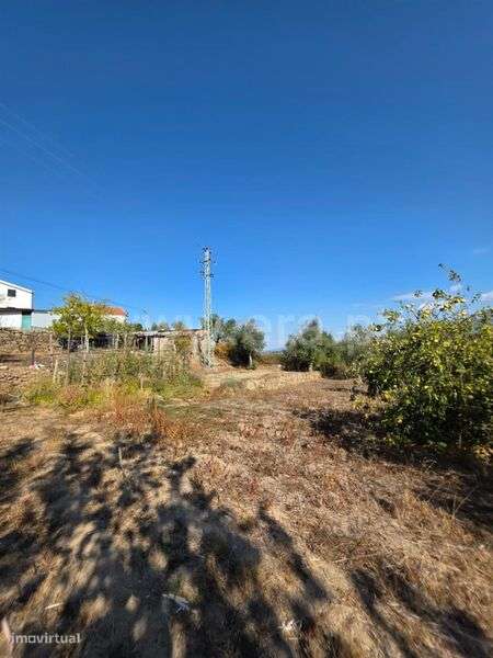 Quinta / Gouveia, Rio Torto e Lagarinhos - Grande imagem: 4/20