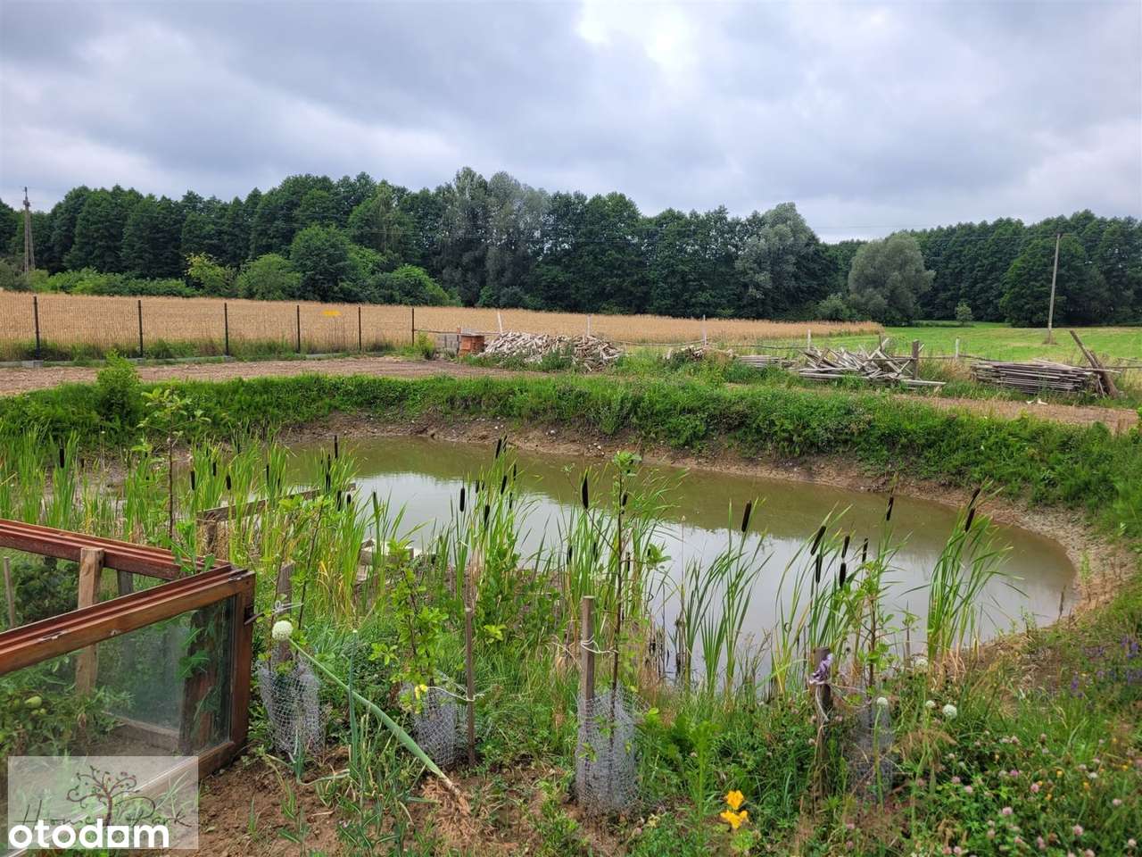 Dom w cichej okolicy - Pełny obrazek: 5/12