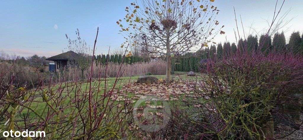 Komfortowy Dom Parterowy Ze Stawem !-5