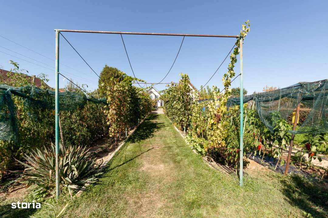 Casa visurilor cu livada roditoare si gradina amenajata - Imagine principală: 3/17