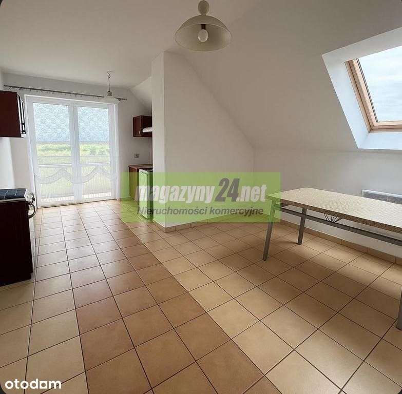 Łask do wynajęcia szwalnia - Pełny obrazek: 5/14