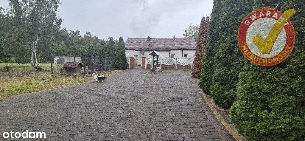 Dom, 154 m², Jankowo