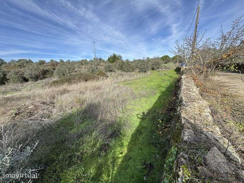 Terreno Rustico 1000m2 - Grande imagem: 4/5