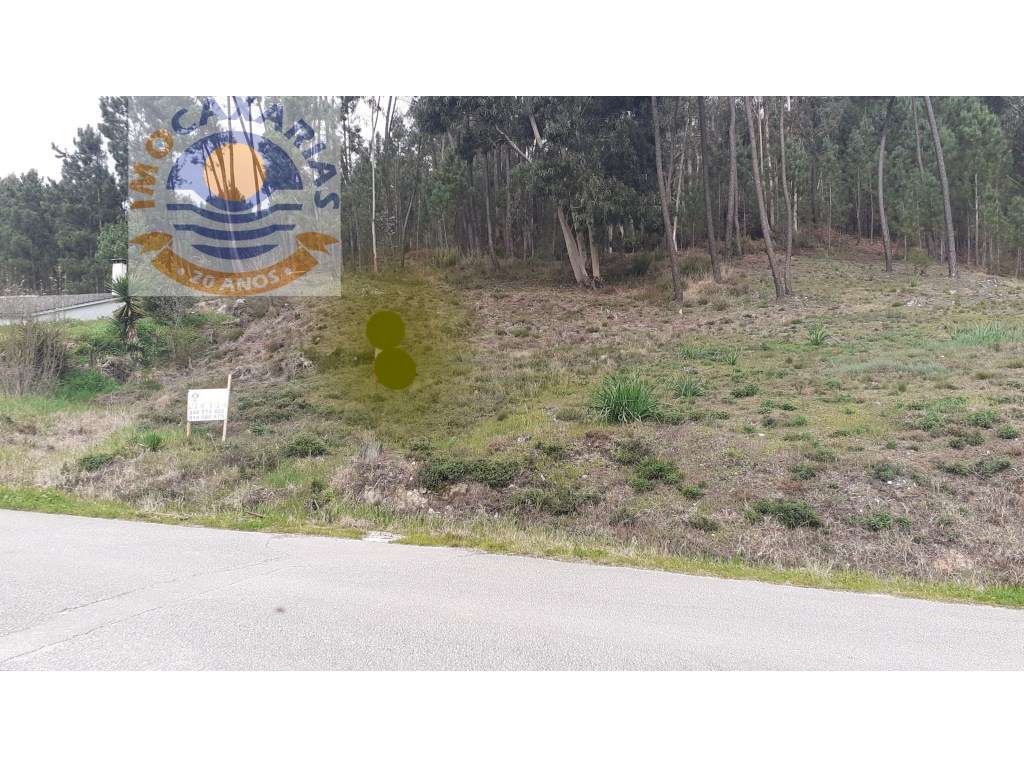 Terreno para construção. Excelente exposição solar. - Grande imagem: 5/6