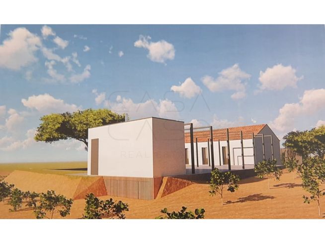 Herdade de 28.000m2 com vinha moscatel e habitações-25