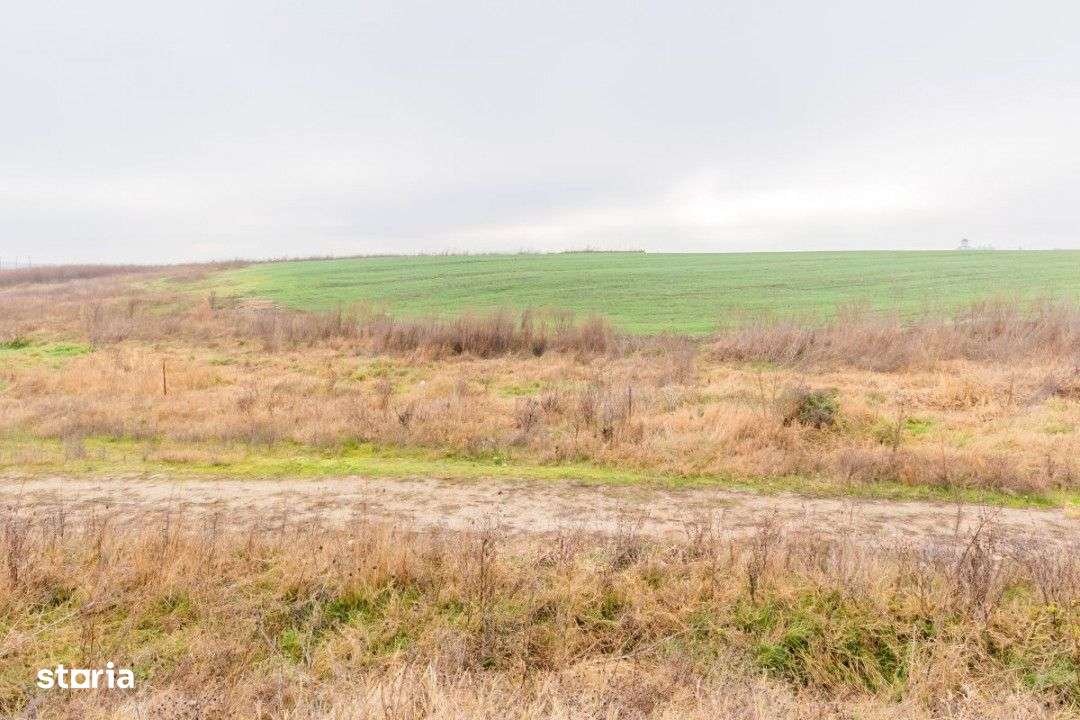 CERNICA - POSTA - TEREN INTRAVILAN CONSTRUCTII 15000 MP! - Imagine principală: 4/16