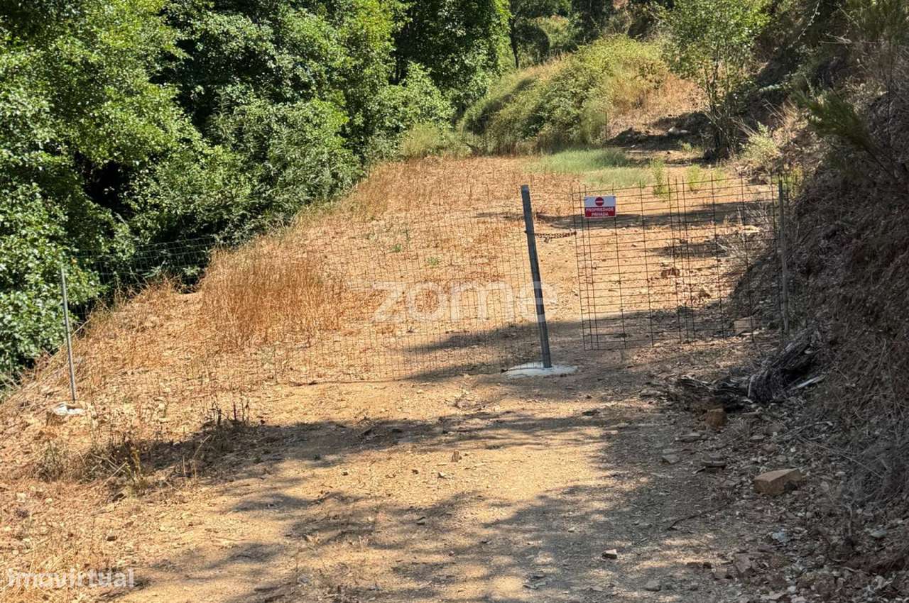 Terreno Rústico com 2000m2 - Monchique - Grande imagem: 4/23