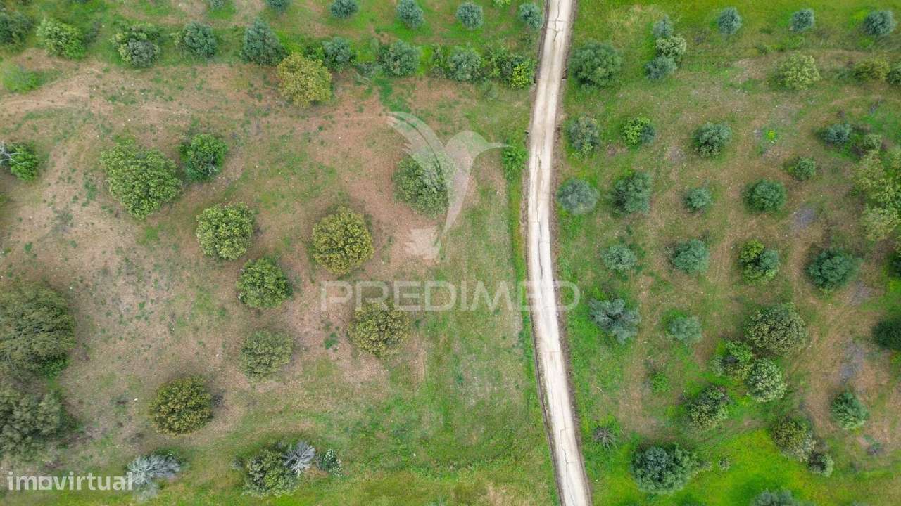 Terreno Rústico de 5 Hectares à Venda ,Alandroal - Grande imagem: 3/6
