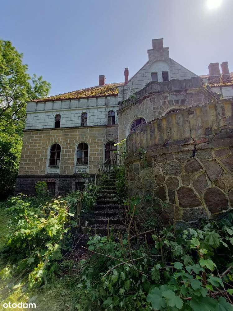 PAŁAC w Debrznie Wsi - Pełny obrazek: 4/20