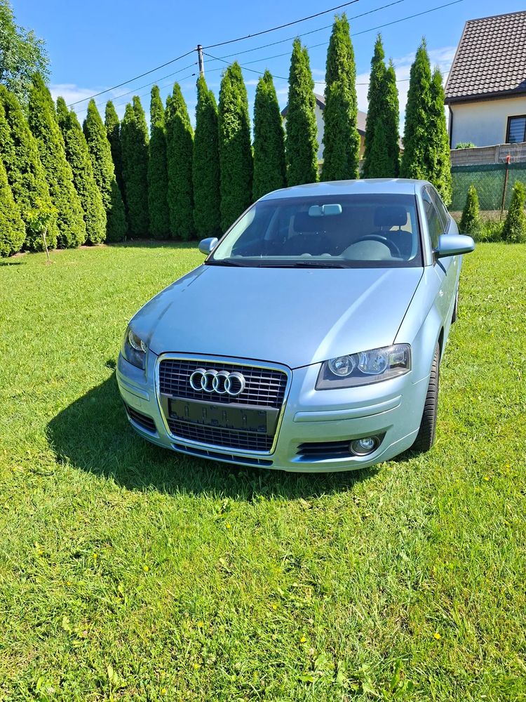 Audi A3 8P (2003-2012) 2004