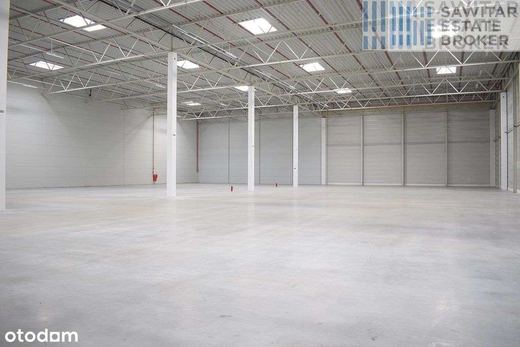 Magazyn klasy A -dostępna od zaraz, bez prowizji - Pełny obrazek: 4/4