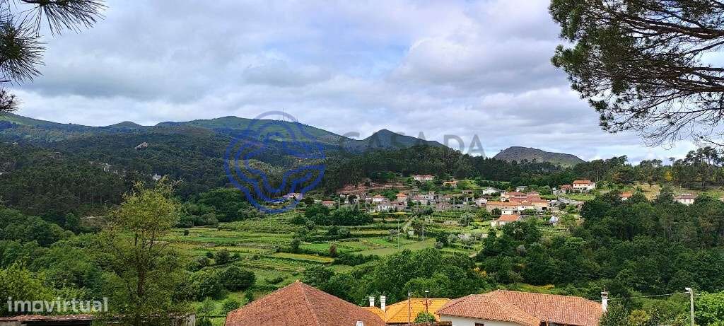 Terreno de 2545 m2   | Com Ruina Moradia T2 e Anexo | Gondomil e Saf - Grande imagem: 3/44