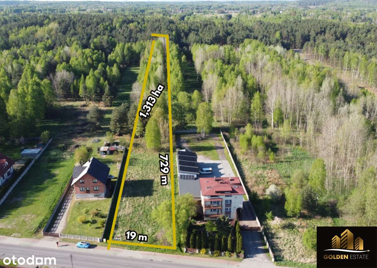 Twoje miejsce na ziemi - Pełny obrazek: 2/4